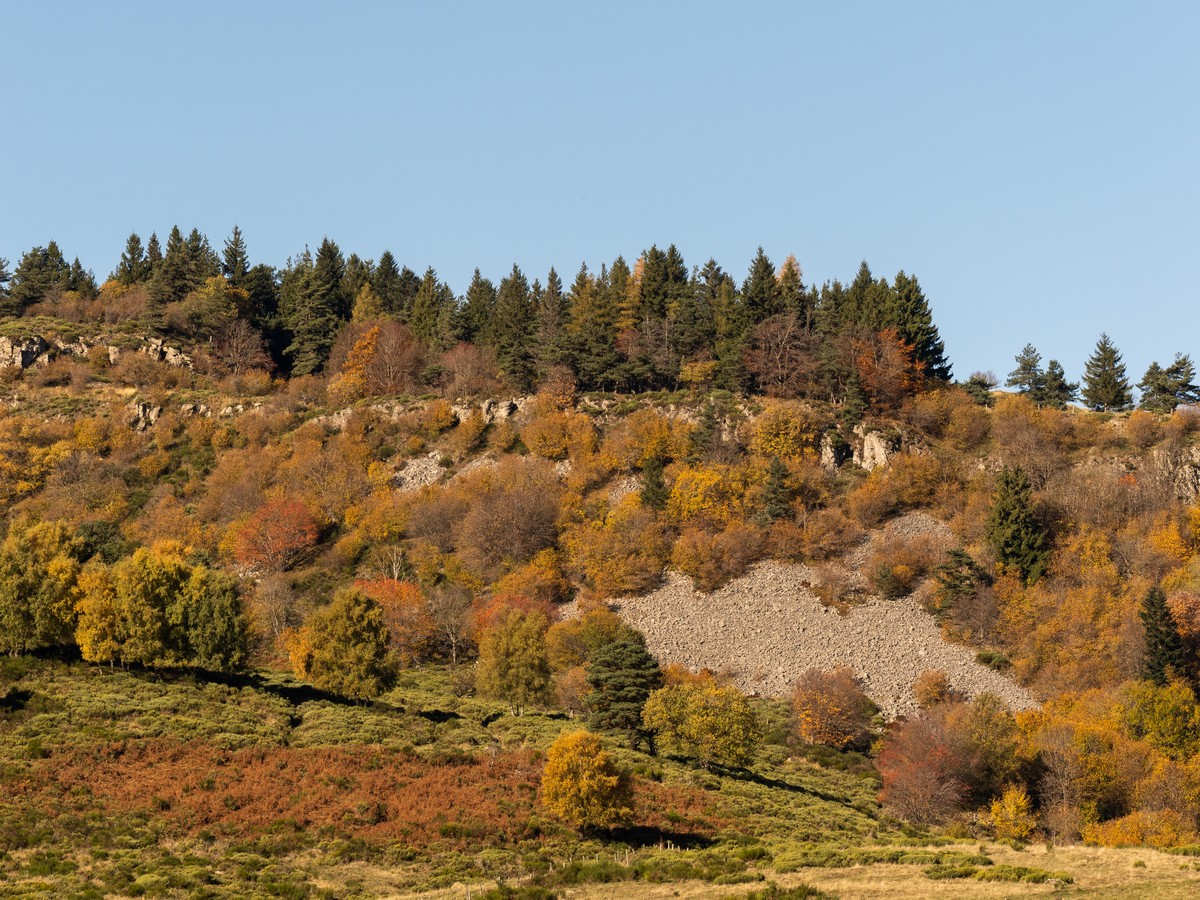 04112025-04 11 2025 (4).jpg